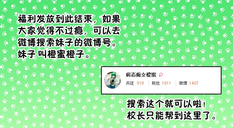 41 真假悟空篇 第12页