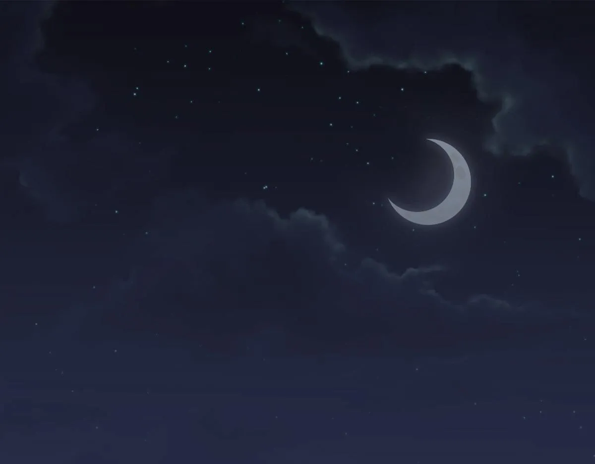 第28话投案自首？ 第1页