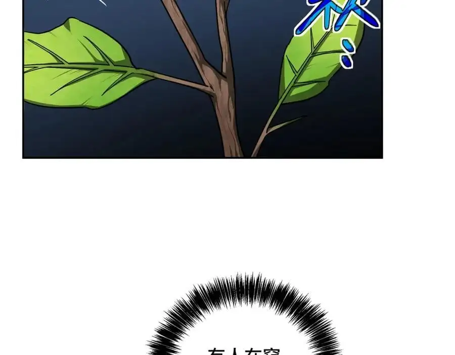 255 达到100级！ 第36页