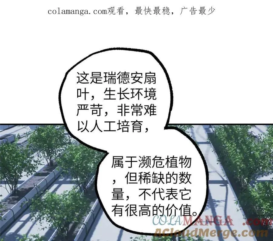 275 黑星归来！ 第1页