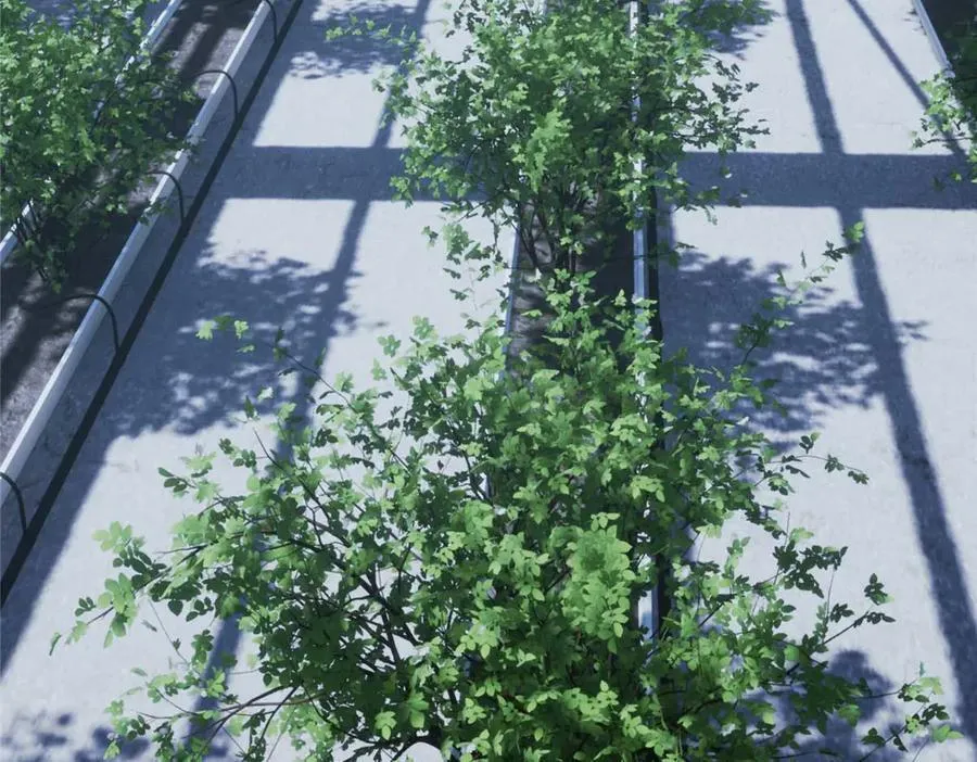 275 黑星归来！ 第2页