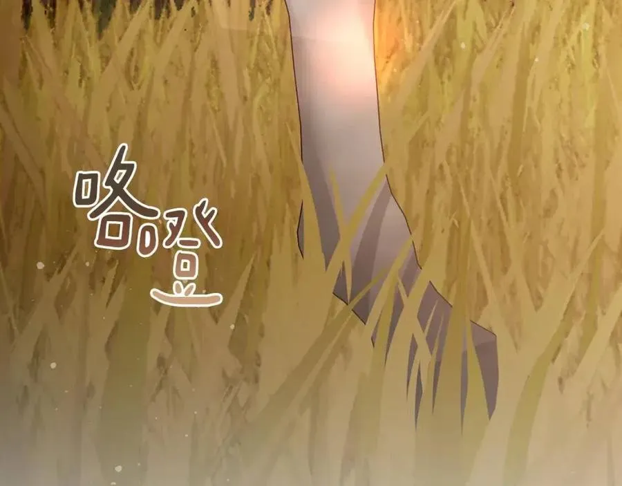 第63话 与神官同行 第14页