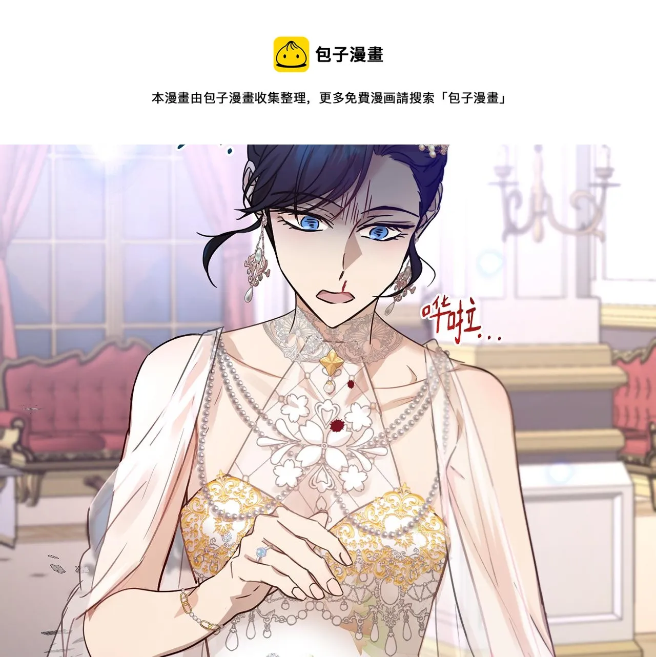 第1季完结话 神秘组织 第13页