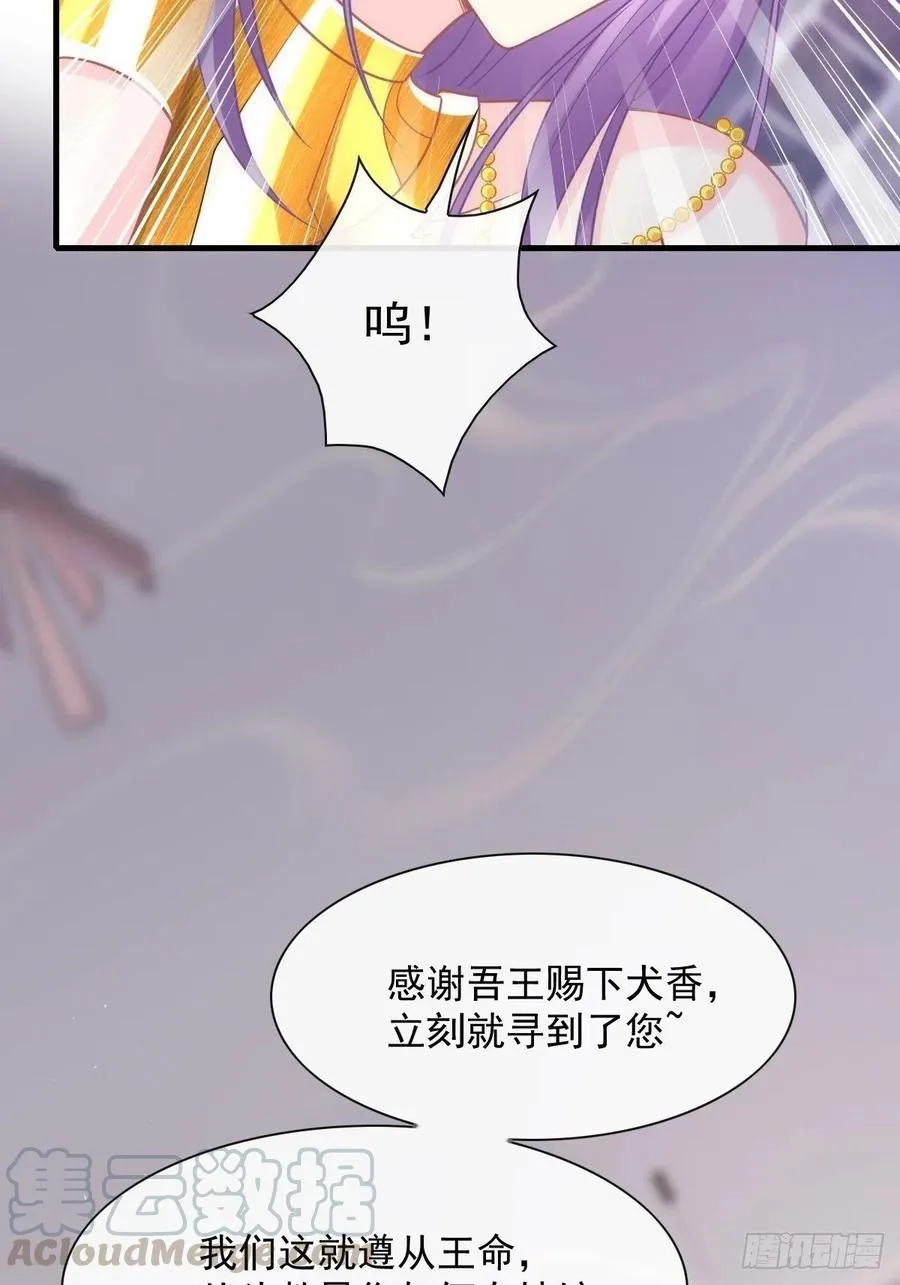 072 犬香 第13页