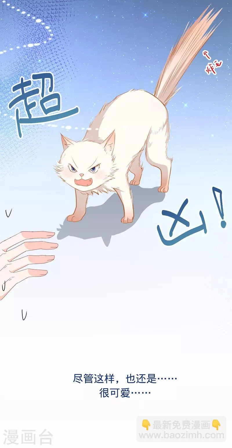 第9话 令人心疼的小猫咪 第26页