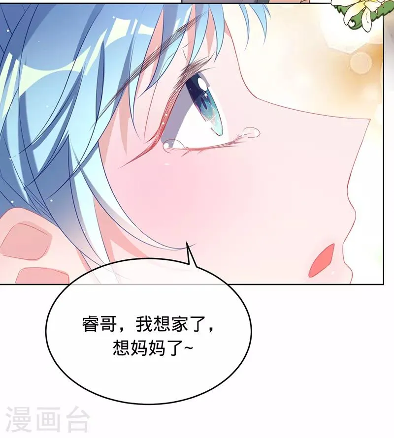 第9话 令人心疼的小猫咪 第37页