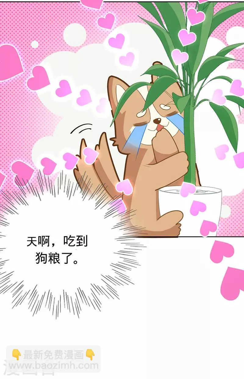 第16话 你是明星？ 第10页