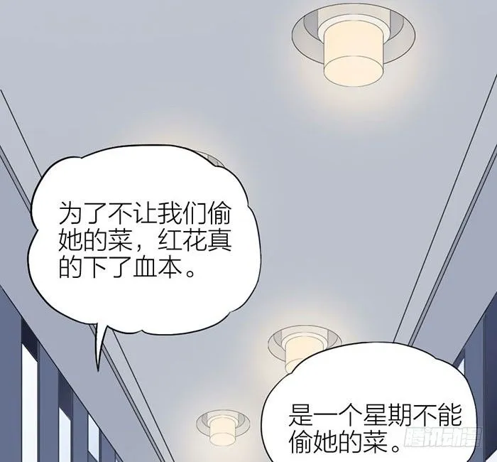 委婉和豪放也就是一瓶酒的距离 第5页
