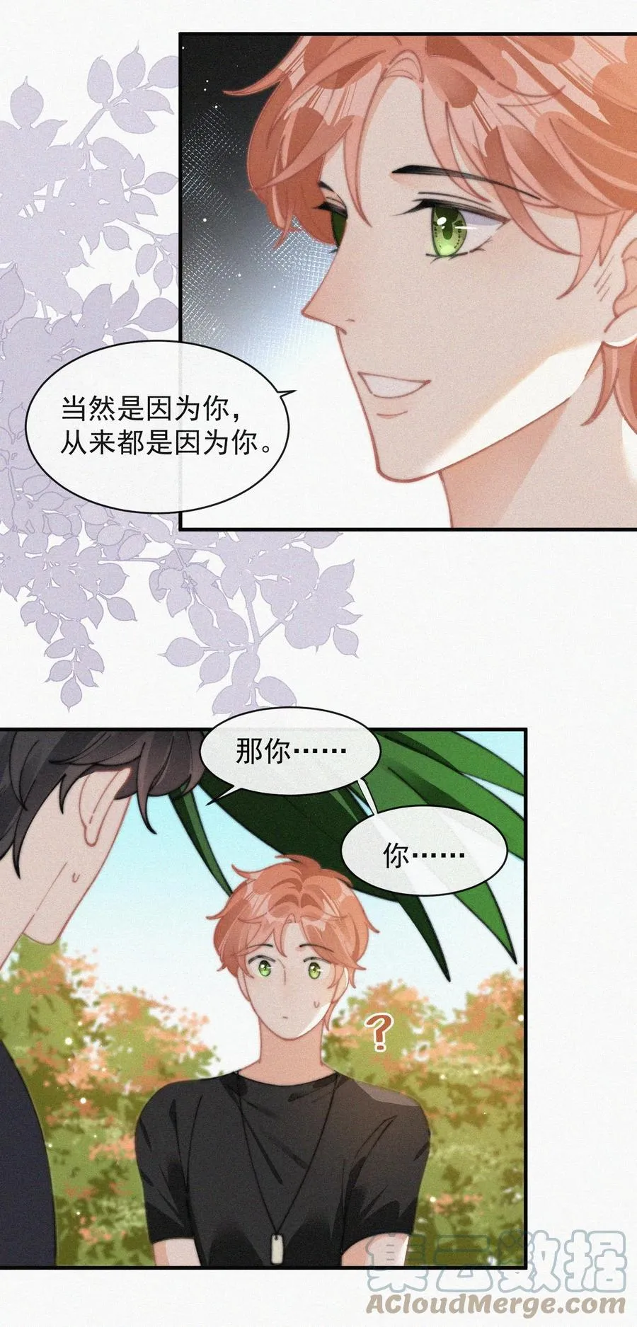 065 我不会再捡第二次 第19页