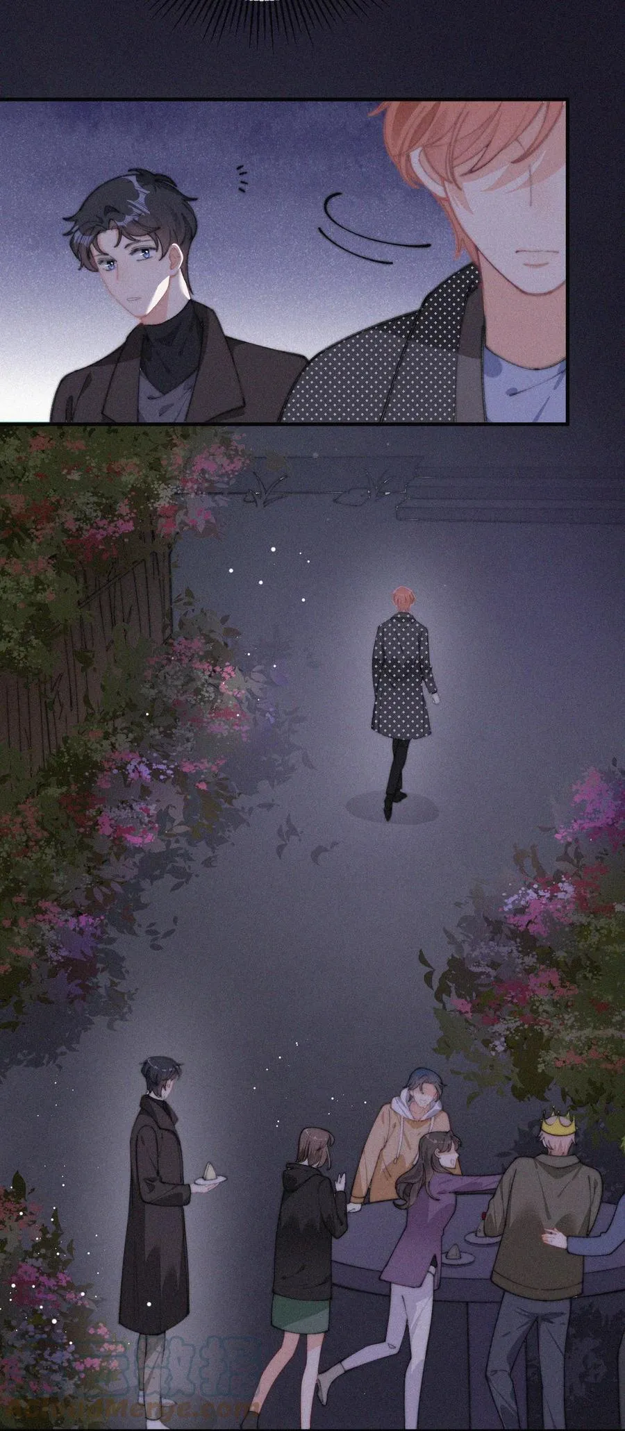 053 生日 第19页