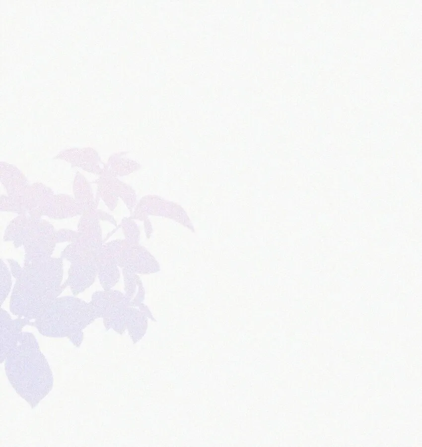 003 合约期限 第49页