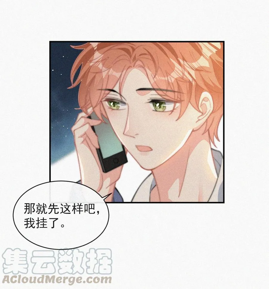 033 怎么可能没有真感情 第31页