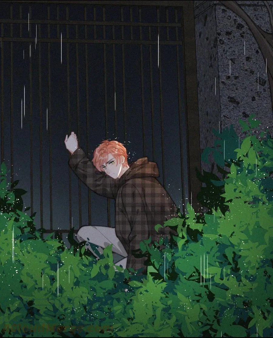 042 要不是你失忆了…… 第13页