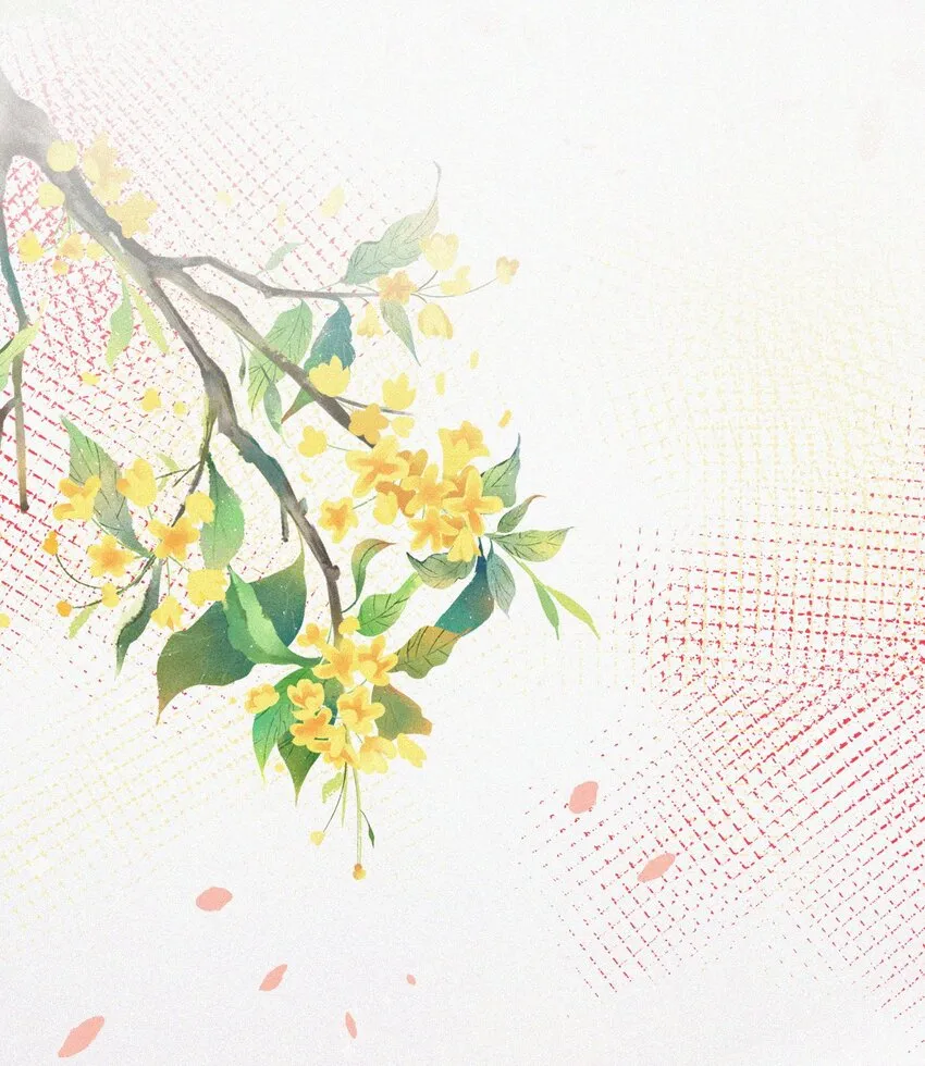 番外 获奖 第11页