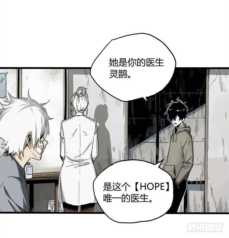 16.灵鹊 第23页