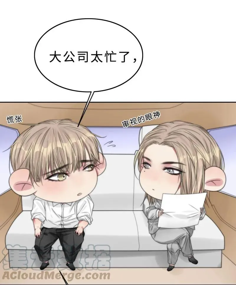 026 去面试啦！ 第13页