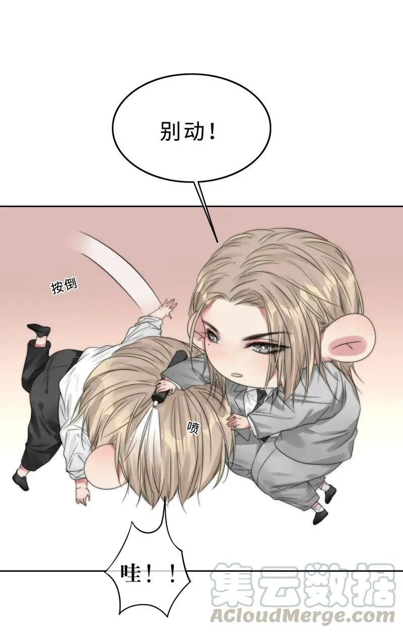 026 去面试啦！ 第21页
