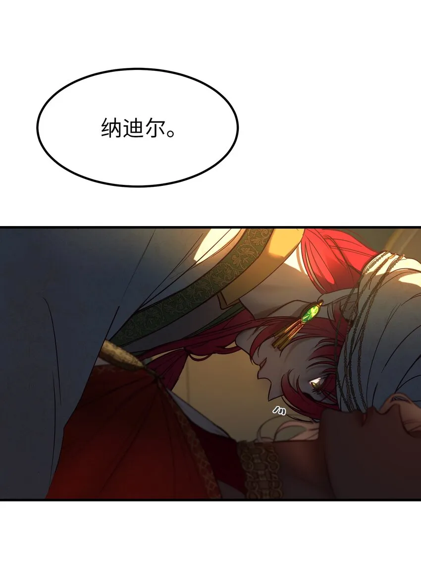 126 纳迪尔的结局 第50页