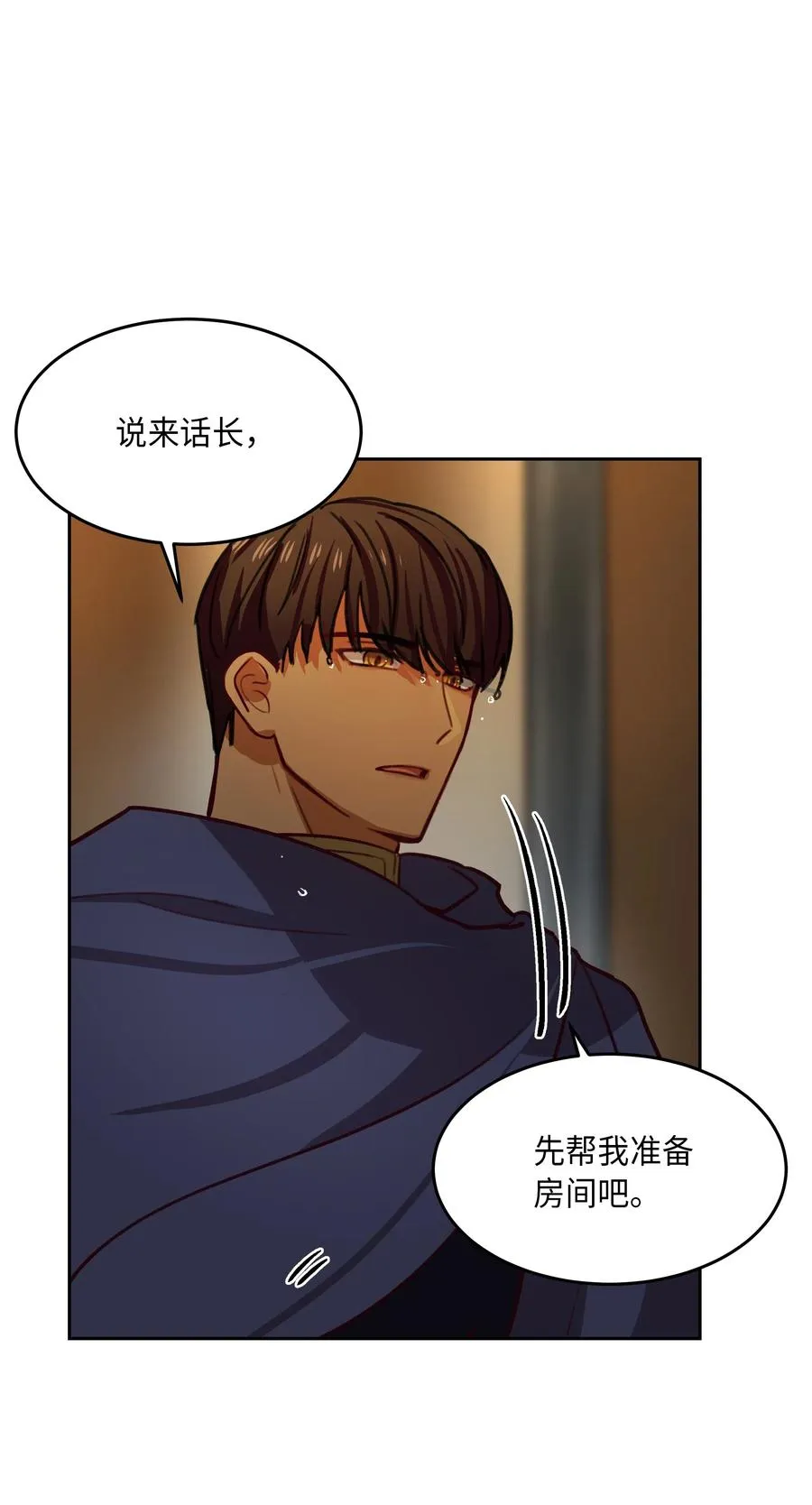 08 司令官归来 第20页