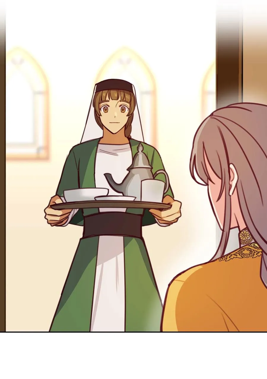 11 藏红花 第10页