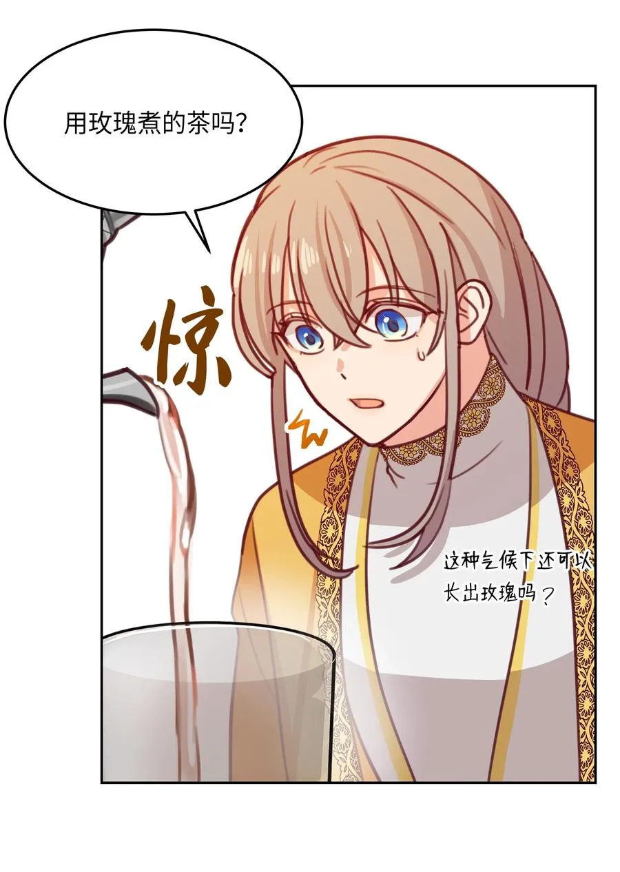 11 藏红花 第23页