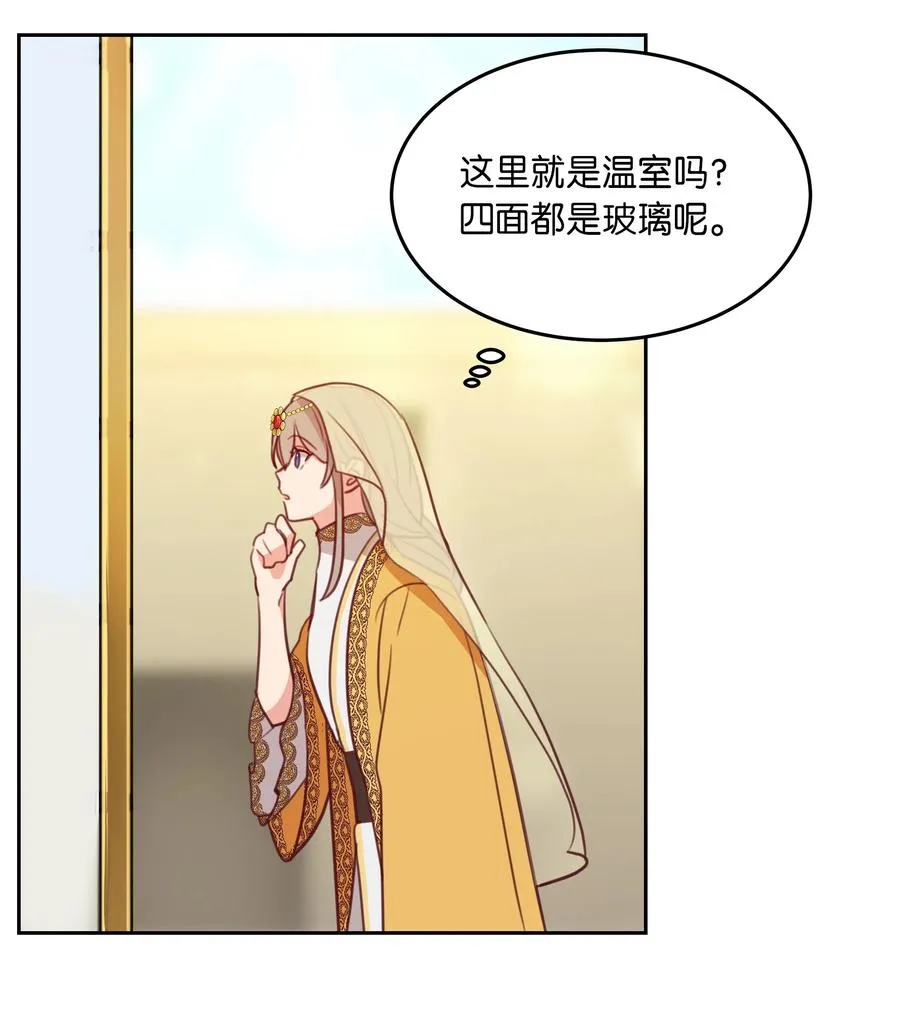 11 藏红花 第39页