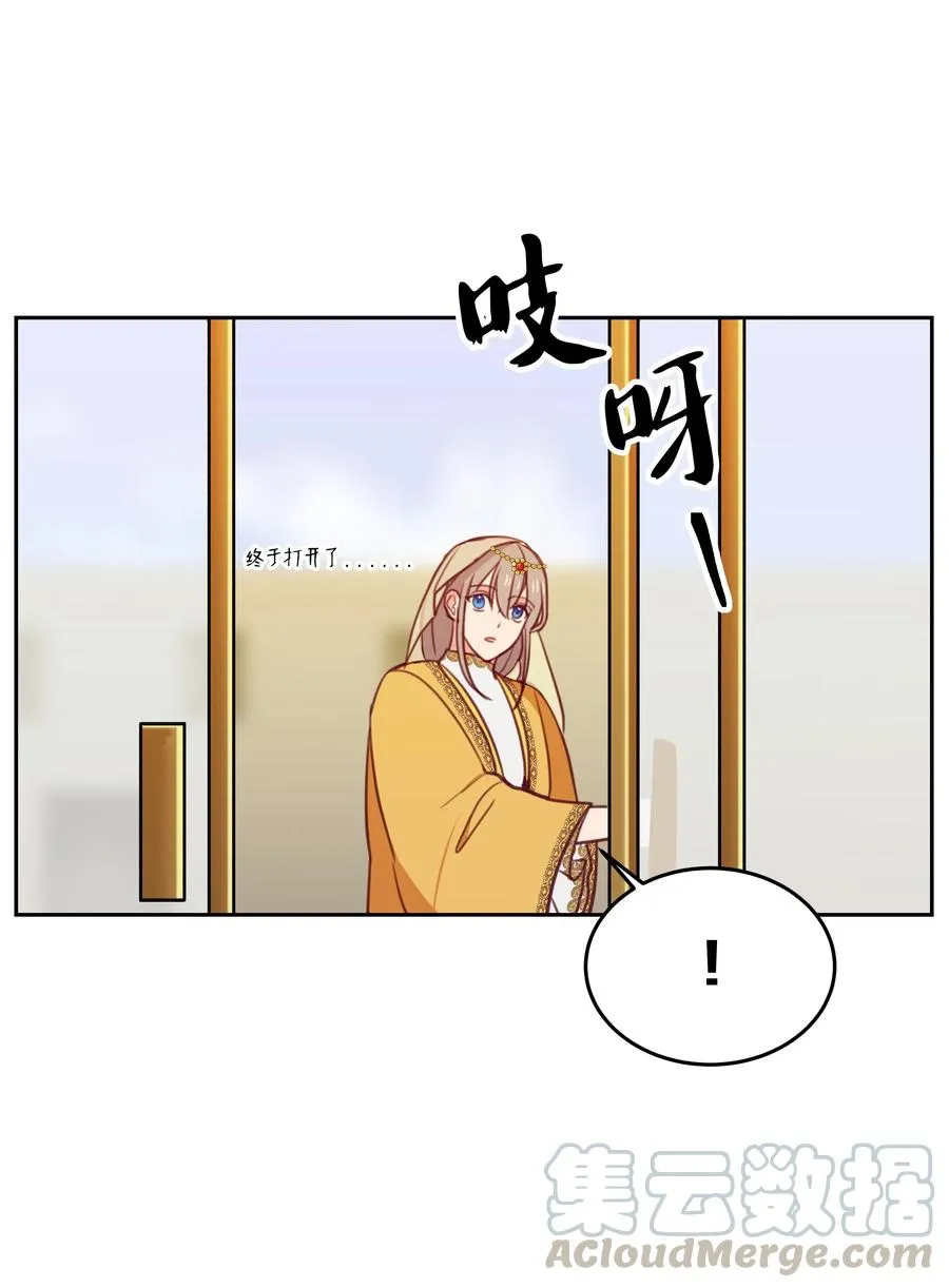 11 藏红花 第41页