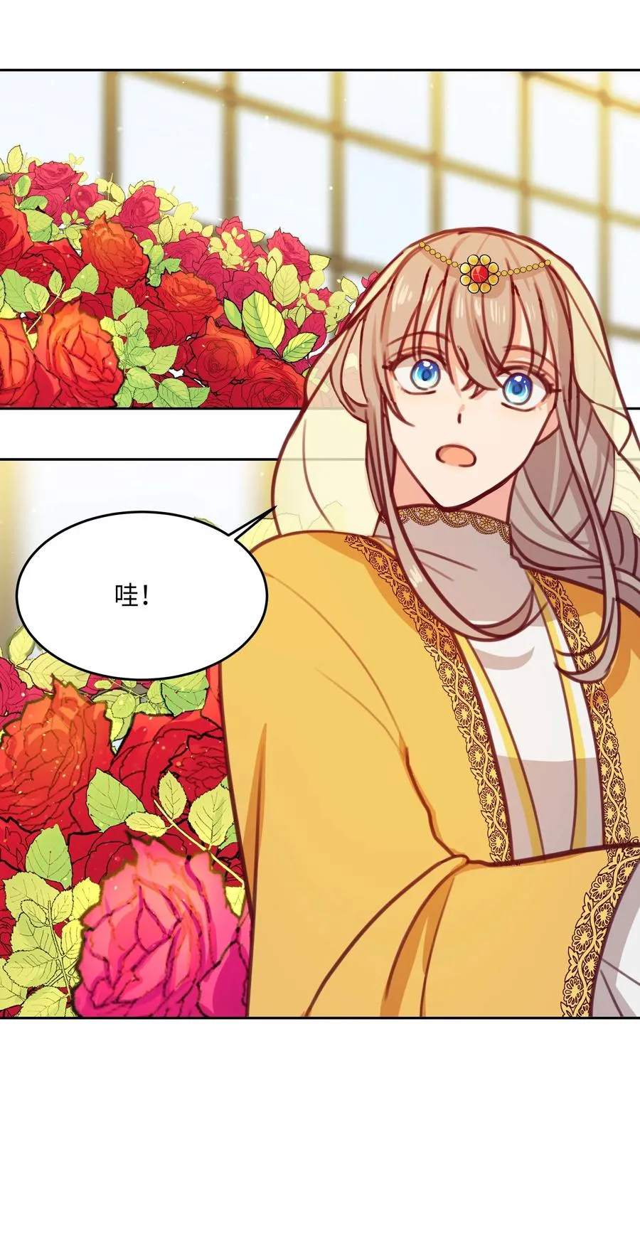 11 藏红花 第42页