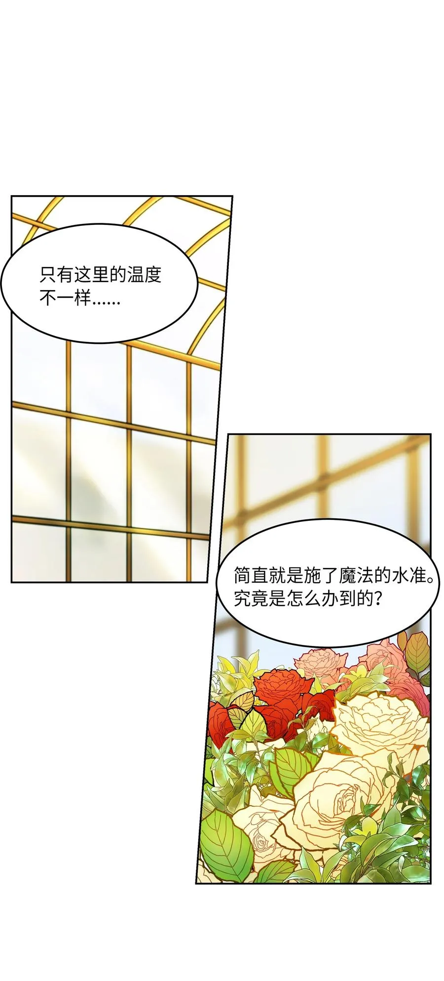 11 藏红花 第43页