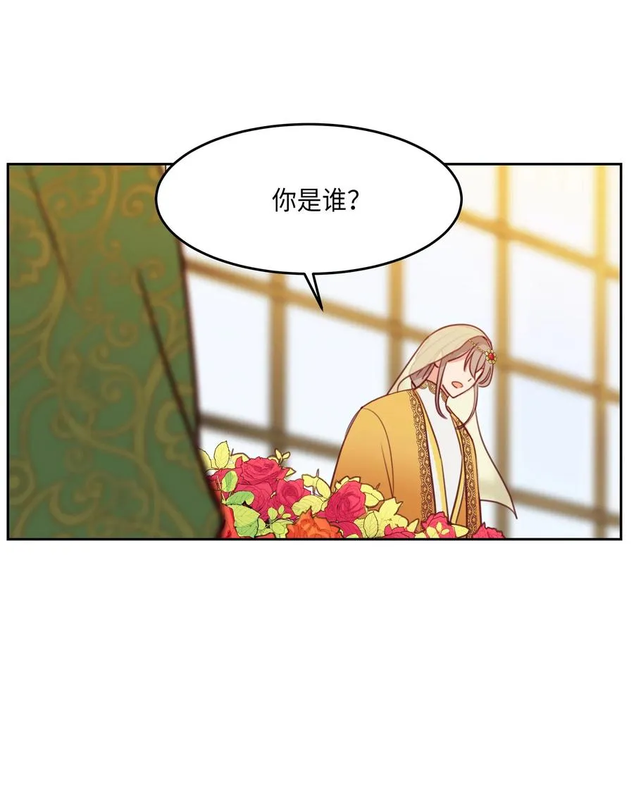 11 藏红花 第47页