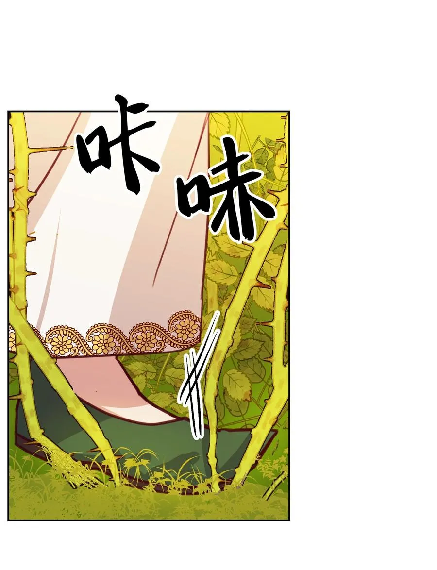 11 藏红花 第50页