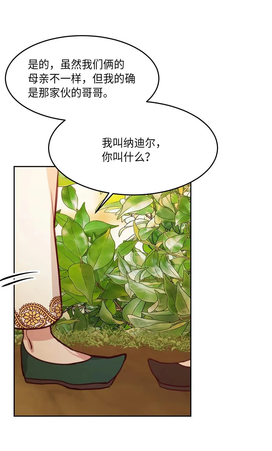 11 藏红花 第55页
