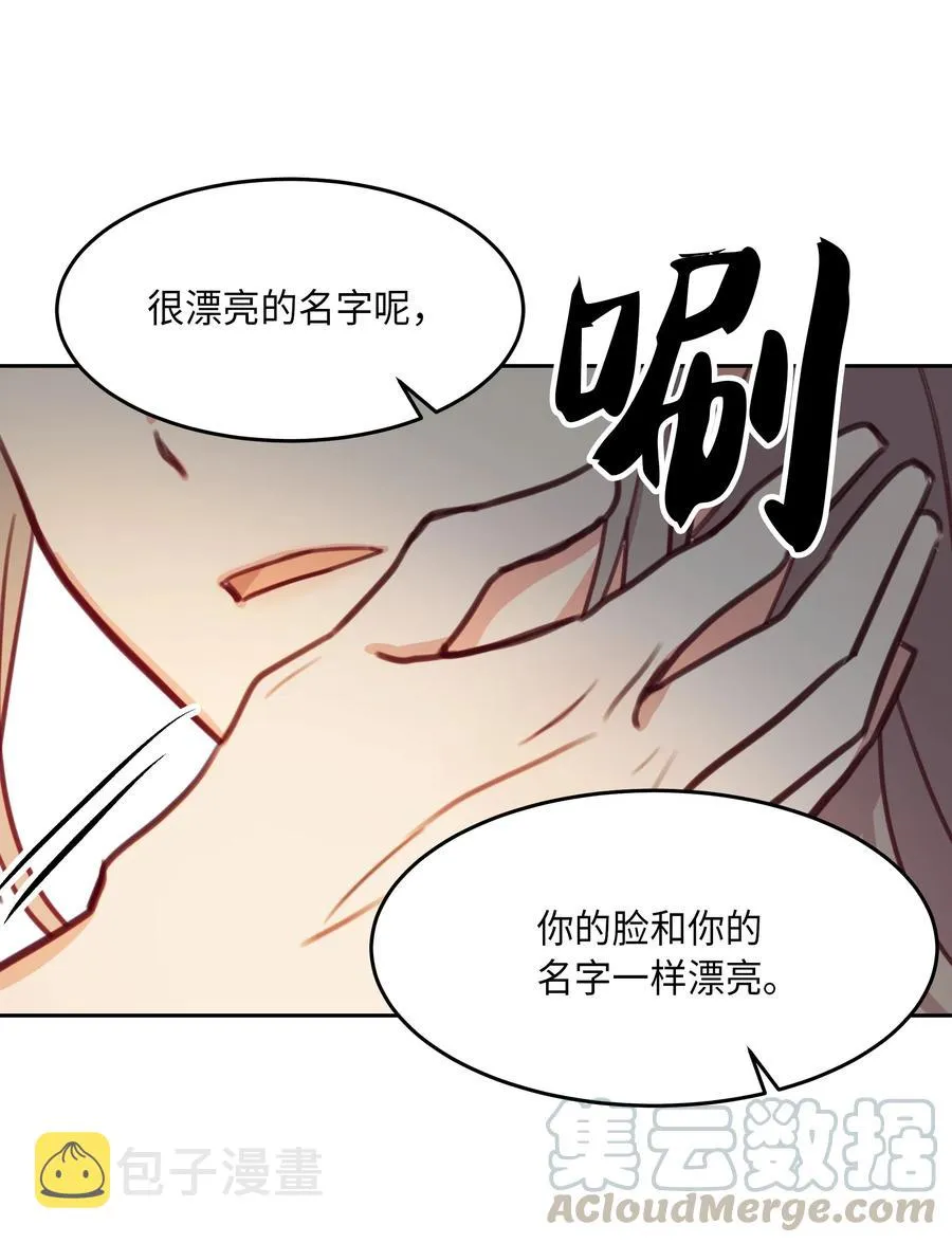 11 藏红花 第57页