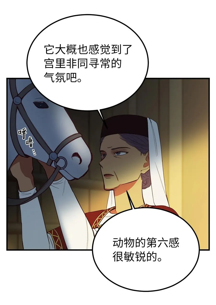 75 误伤 第5页