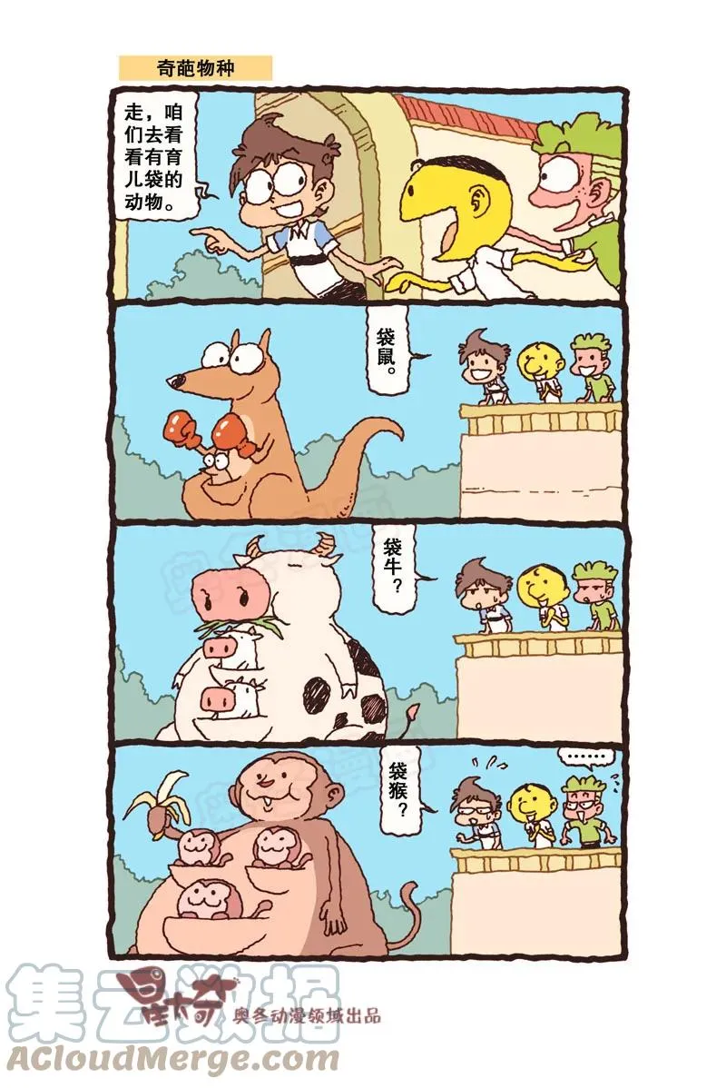 星之311 钱只够一个人的，怎么办？ 第4页