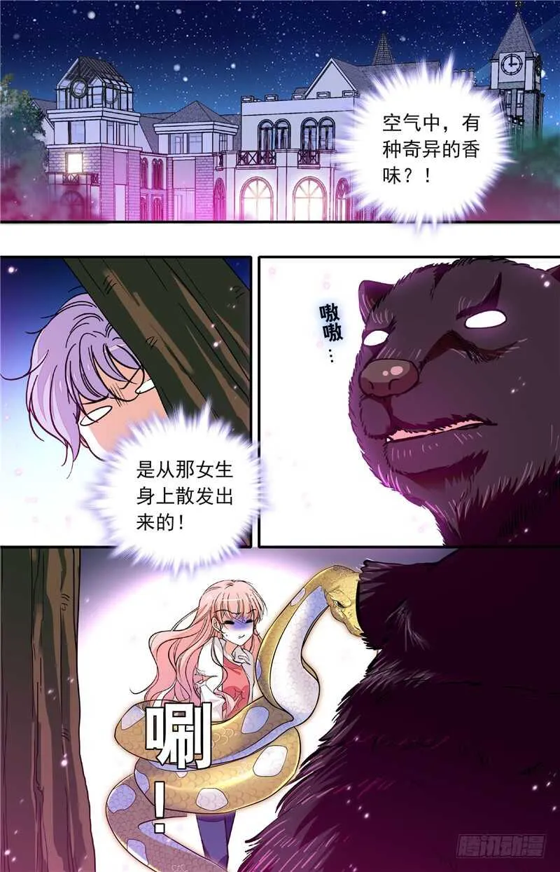 第四十二话熊利少女 第1页
