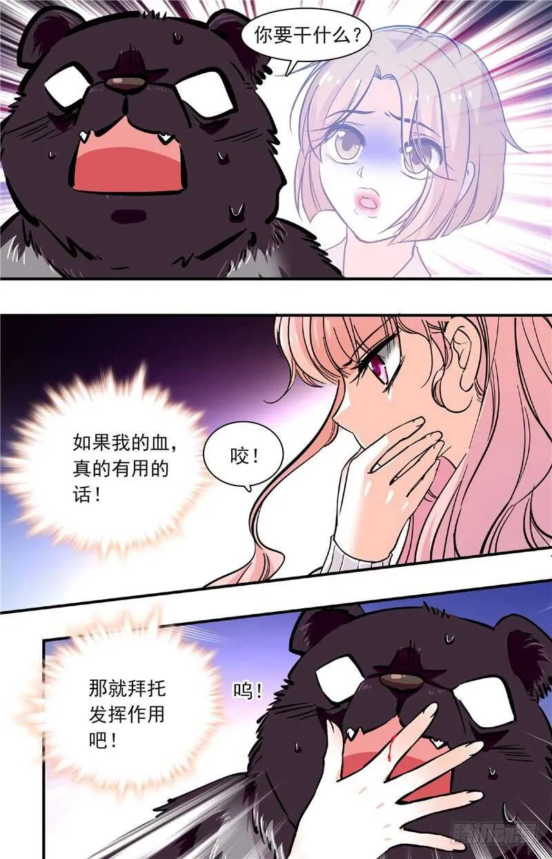 第四十二话熊利少女 第5页