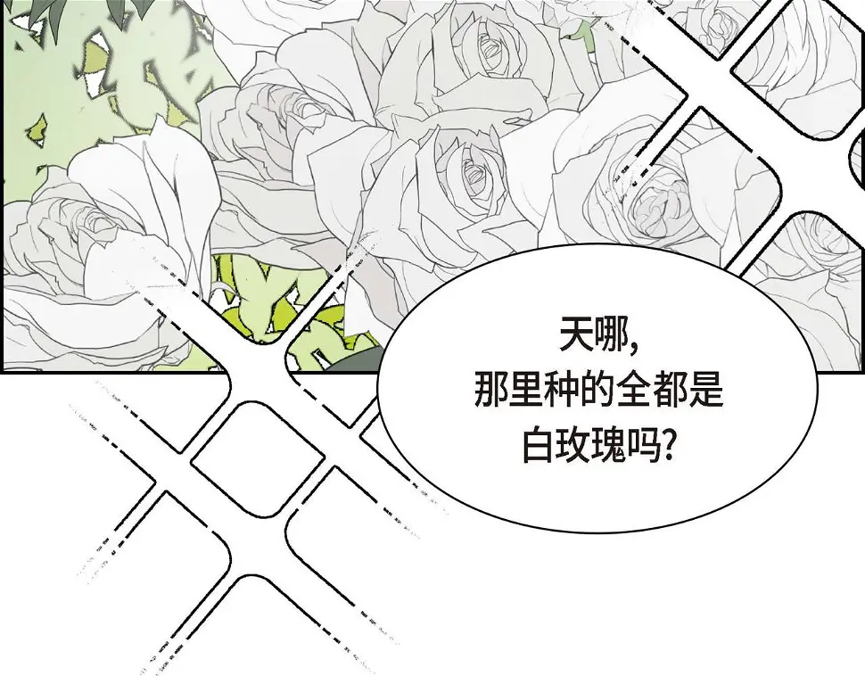 第67话 在玫瑰花上染上你的颜色 第68页
