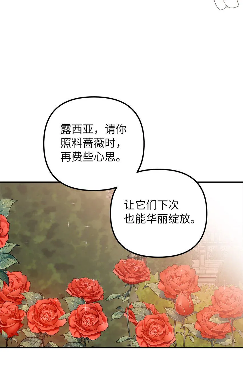 52托付蔷薇花 第41页