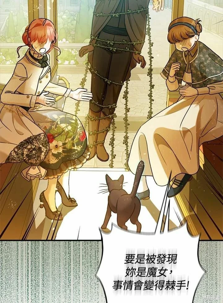第66话 第6页