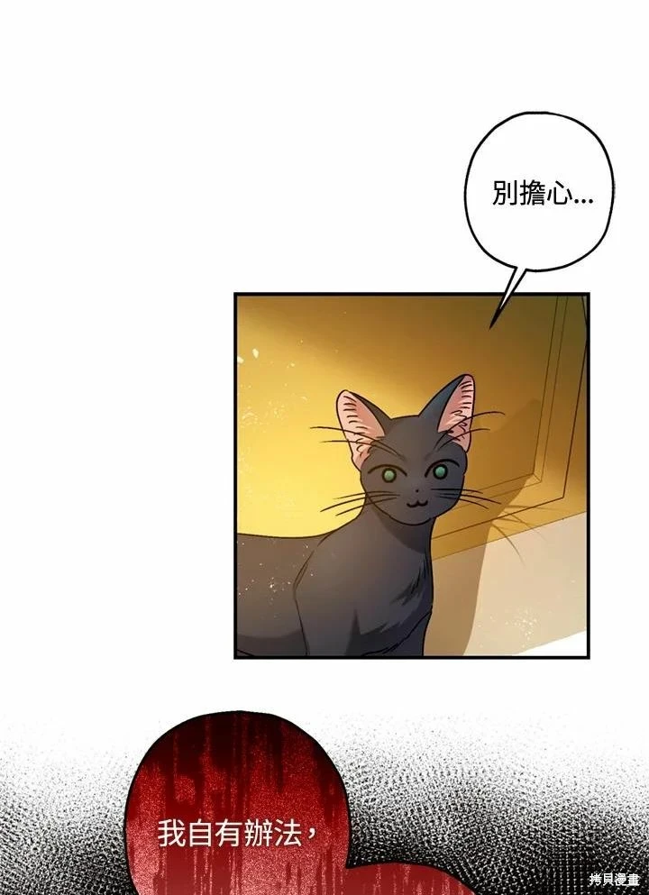 第66话 第14页