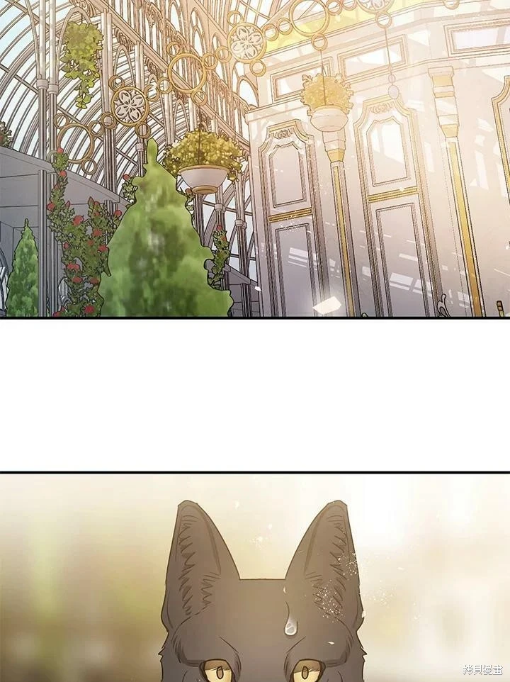 第51话 第122页