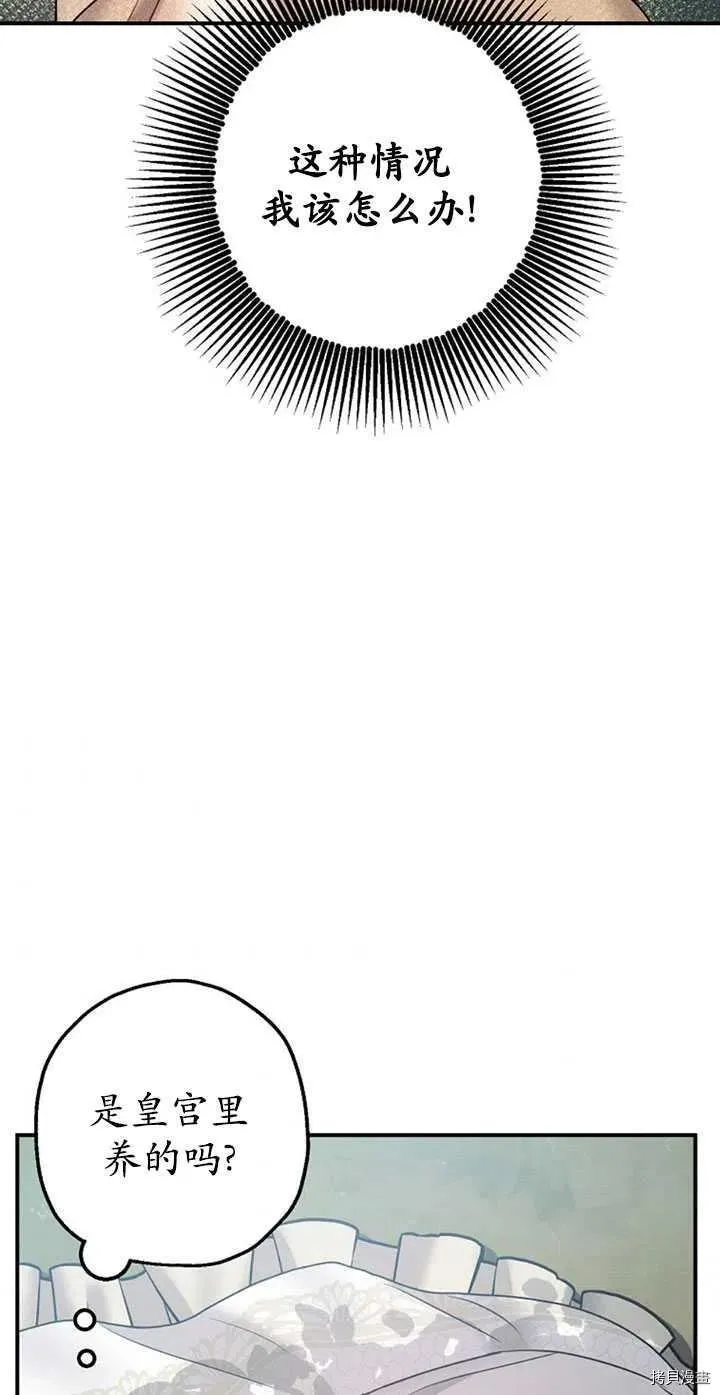 第36话 第48页