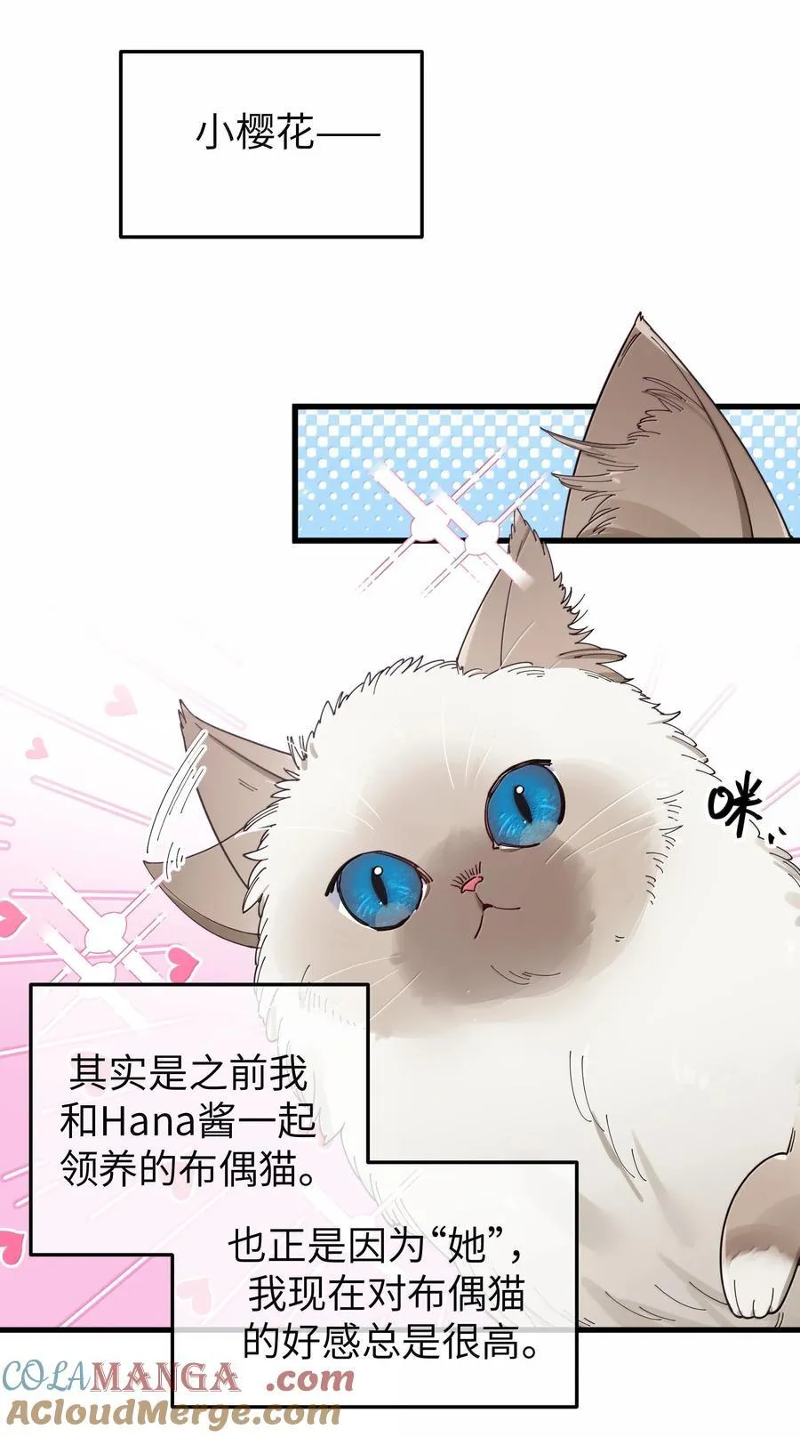 137 家里有只…猫娘？ 第19页