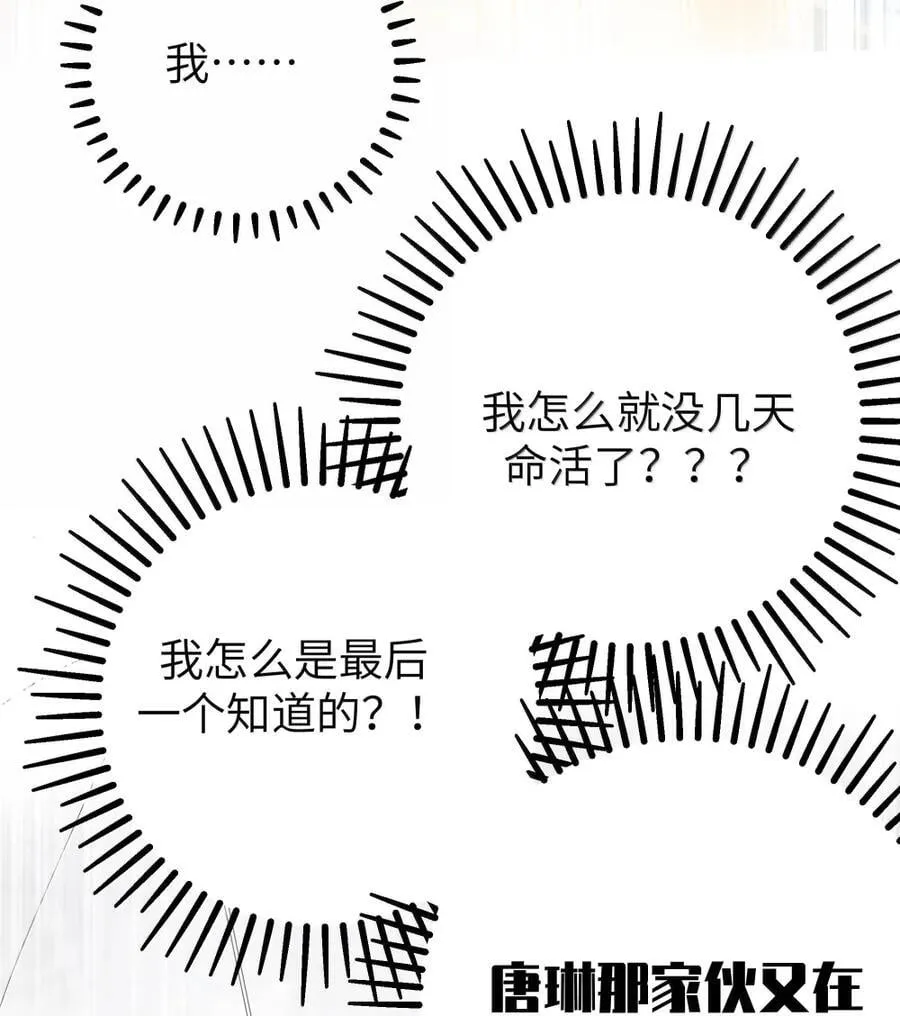 169 山顶的心动 第14页