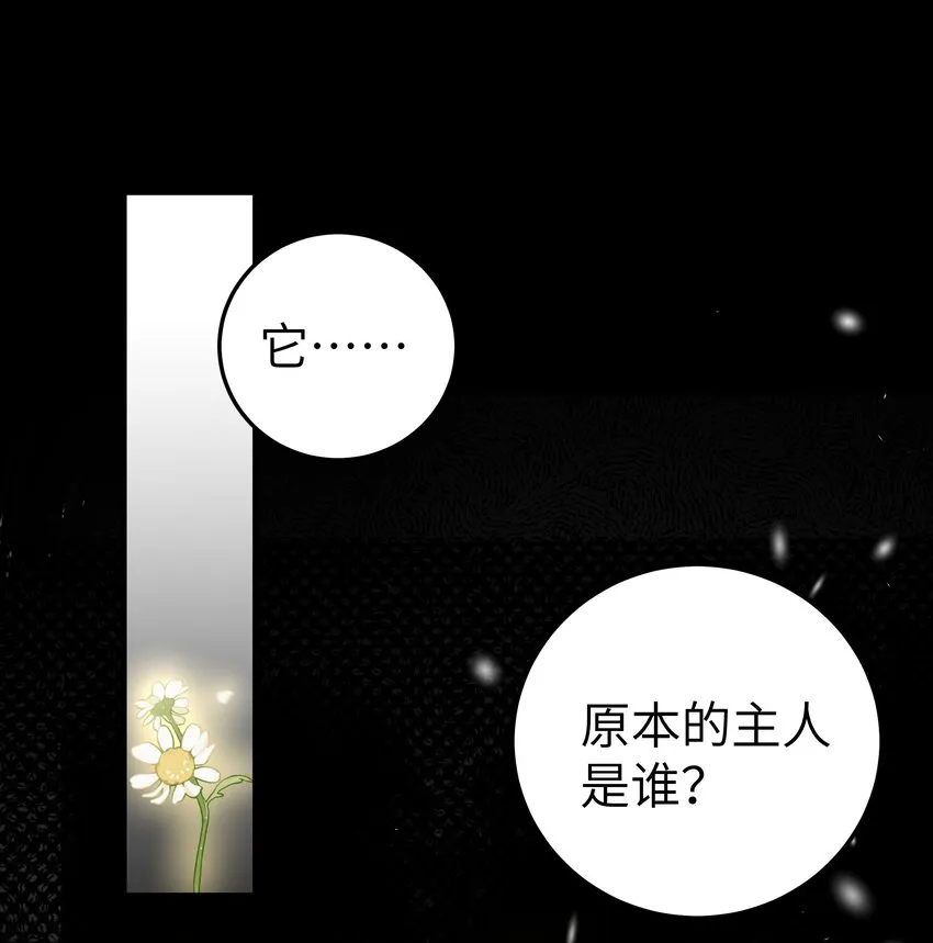 025 与白毛狐狸的初次相遇 第4页