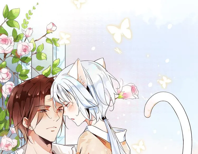 被猫碰瓷了 第1页