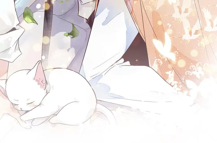 被猫碰瓷了 第3页