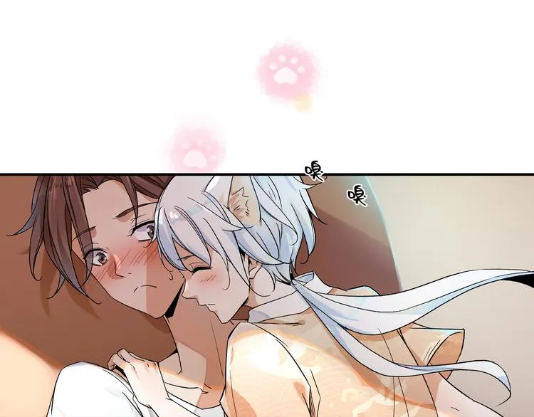 被猫碰瓷了 第6页