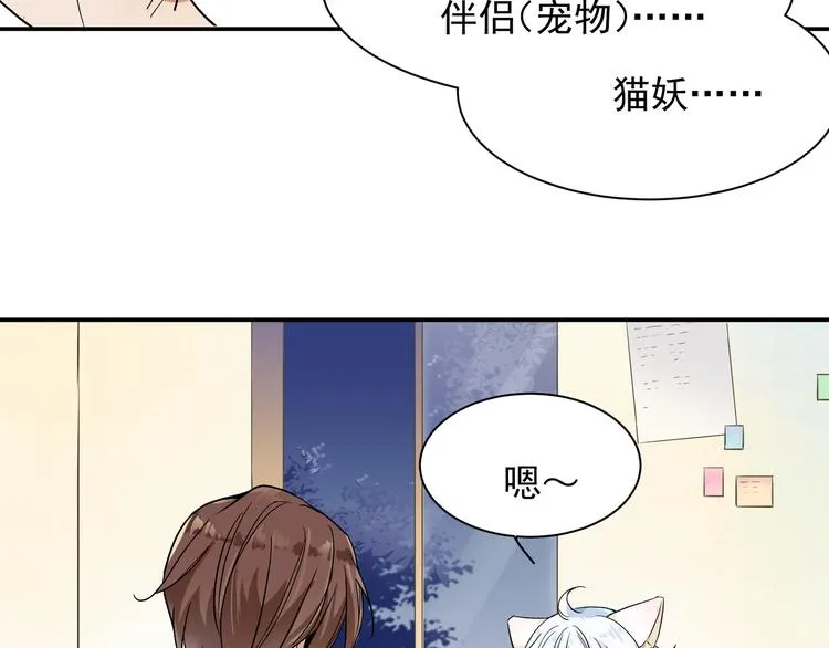 被猫碰瓷了 第16页